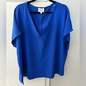 Andree by Unit sz 3x NWOT blue blouse